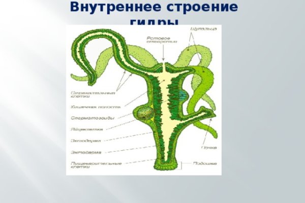 Москва бульвар яна райниса 25 кракен москва