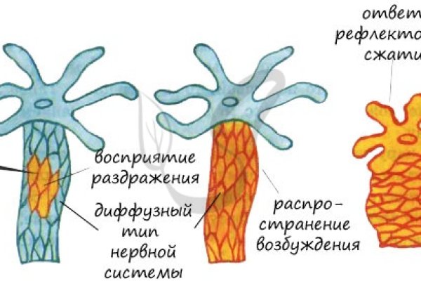 Кракен оф сайт kr2web in