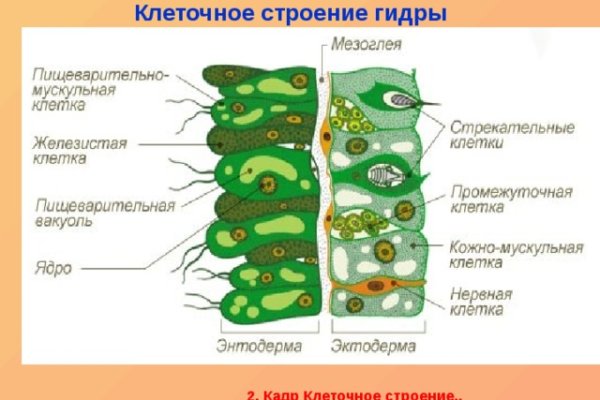 Кракен сайт вход